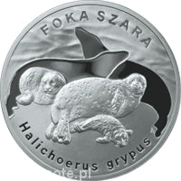 Foka 20 zł