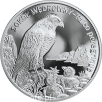 Sokół 20 zł