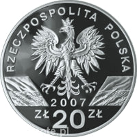 Foka 20 zł