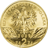 Jaszczurka zielona 2 zł